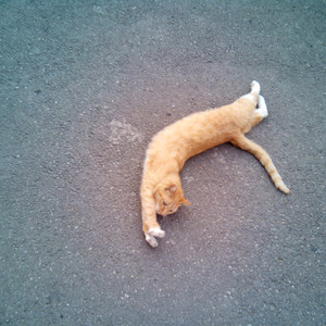 女人被猛男躁120分钟
